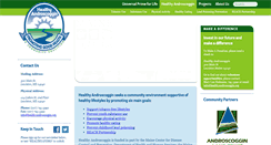 Desktop Screenshot of healthyandroscoggin.org
